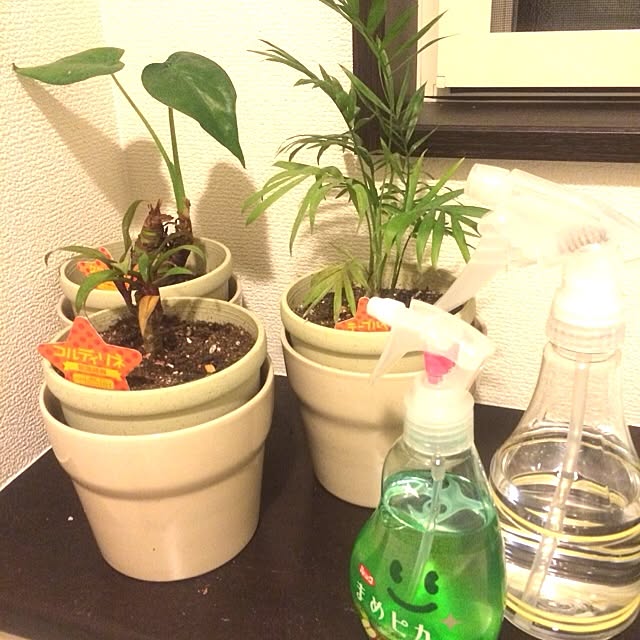 morichanさんの実例写真