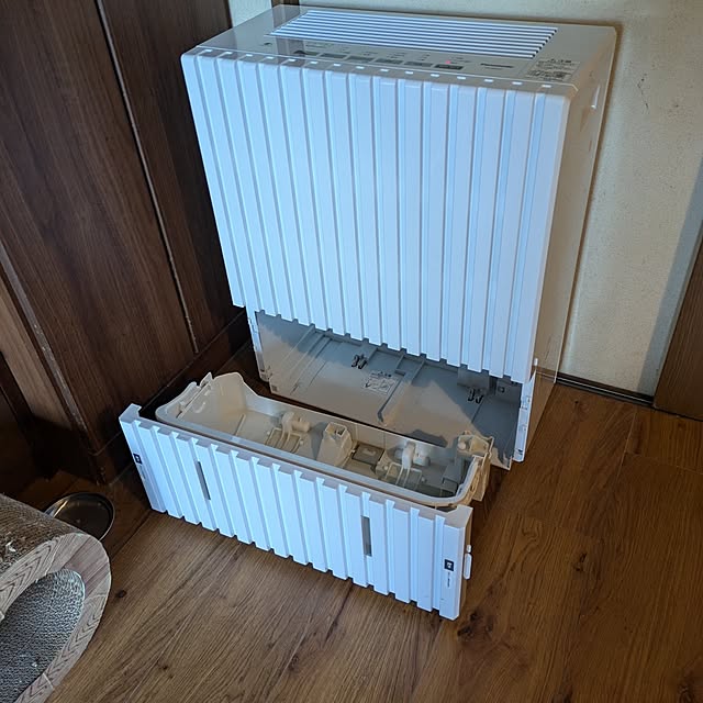 ayuさんの部屋