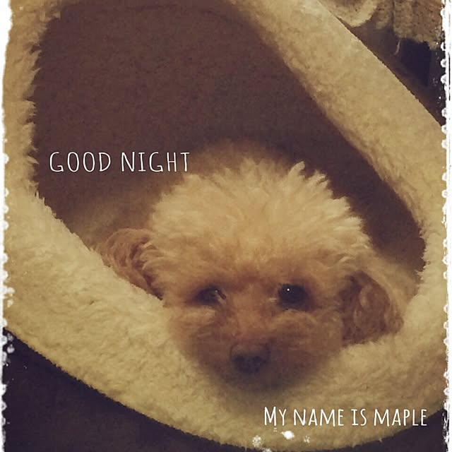 mapleさんの実例写真
