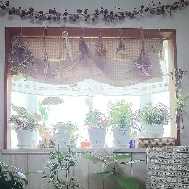 naopyiさんの実例写真