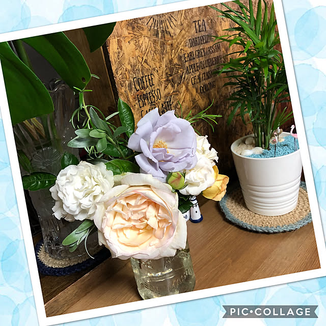 Alohaさんの実例写真