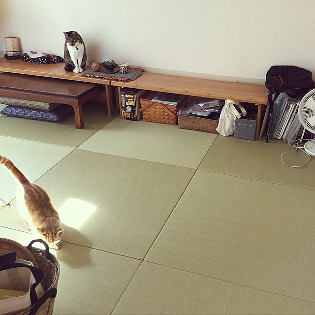 amosさんの実例写真