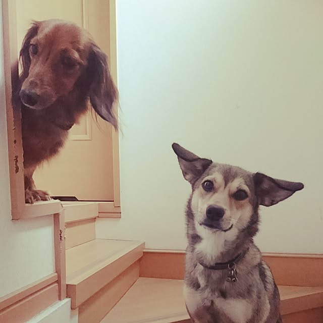 andさんの実例写真