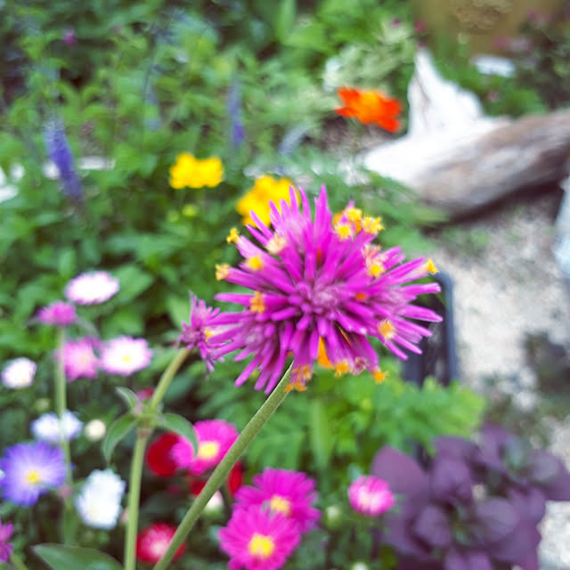min_nimさんの実例写真