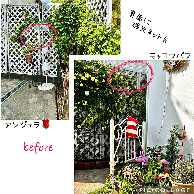 kittyさんの部屋