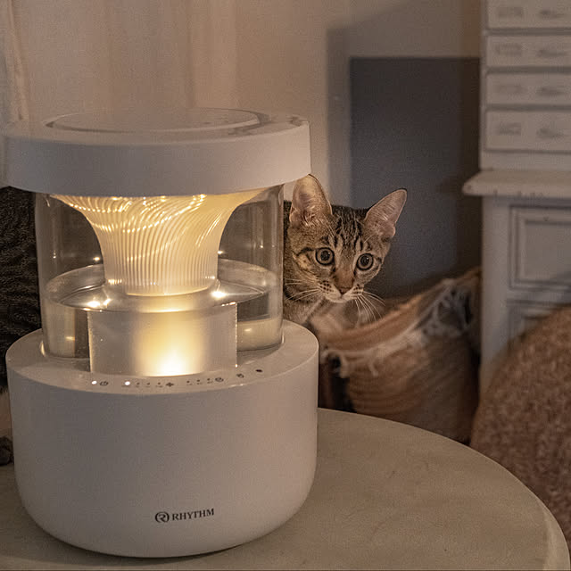 oliveさんの実例写真