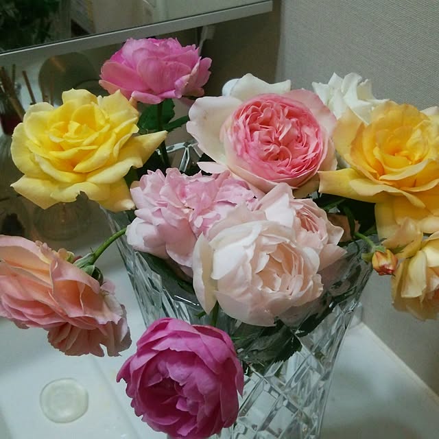hiromimiさんの実例写真