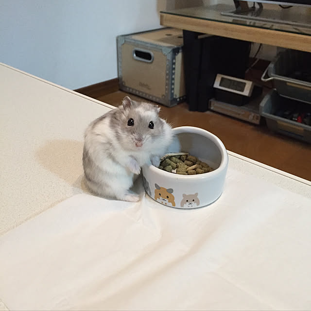 mさんの実例写真