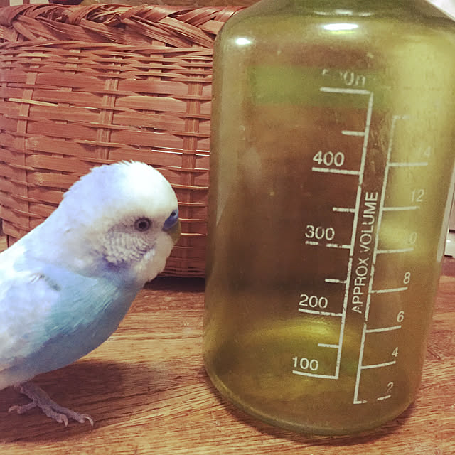 toratanさんの実例写真