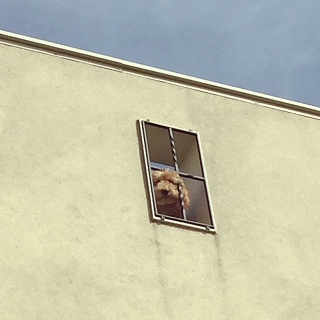 mam1231さんの実例写真