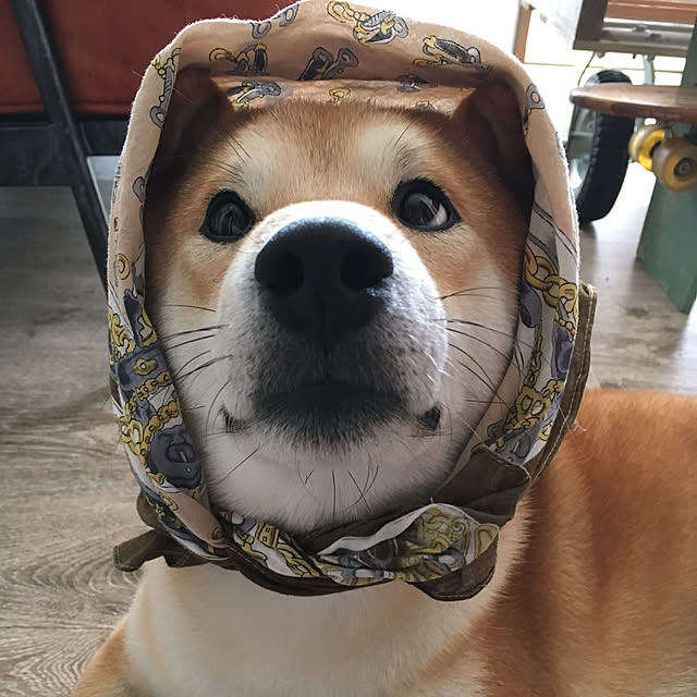 diez_taraさんの実例写真