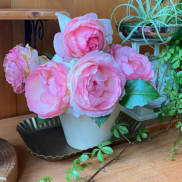 mintteaさんの部屋