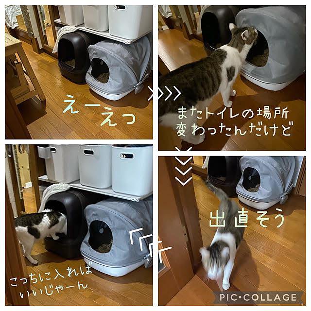 Lufuさんの実例写真
