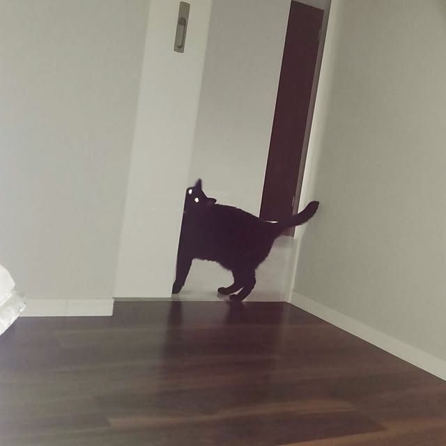zenoさんの実例写真