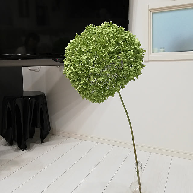 fumitanさんの実例写真