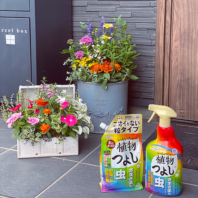 Lime..さんの部屋