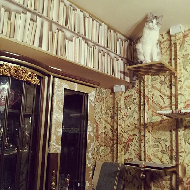 emmyyさんの実例写真
