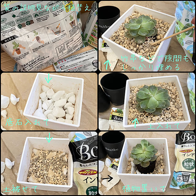 tanboさんの部屋