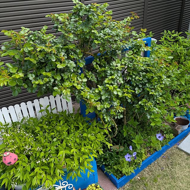 Miyumamaさんの部屋