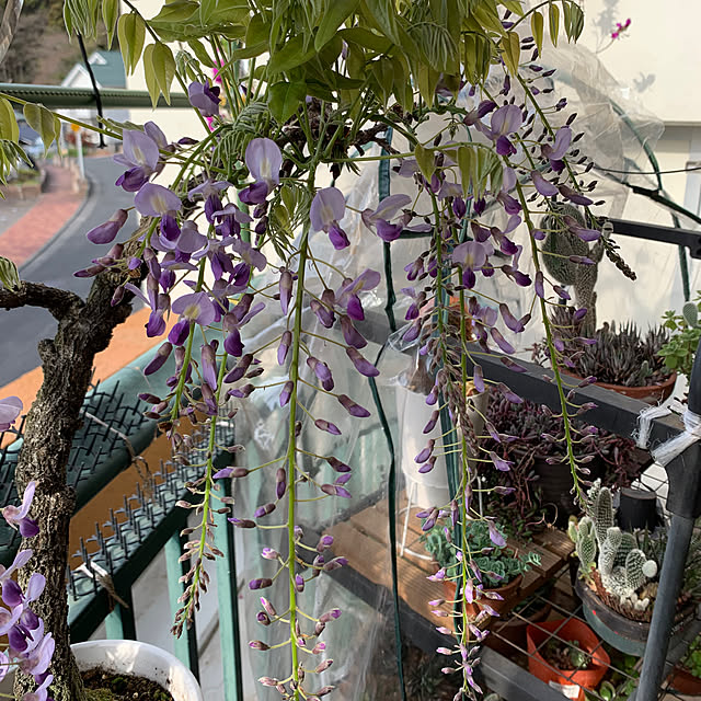 Aqettyさんの部屋