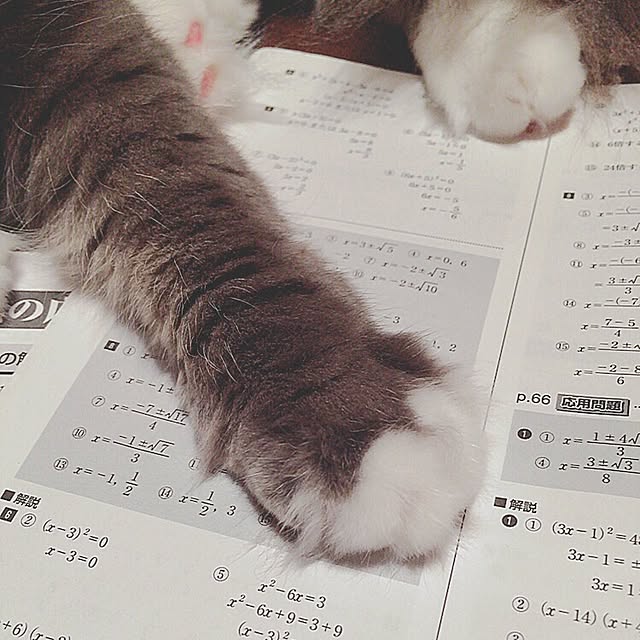 mii-tanさんの実例写真