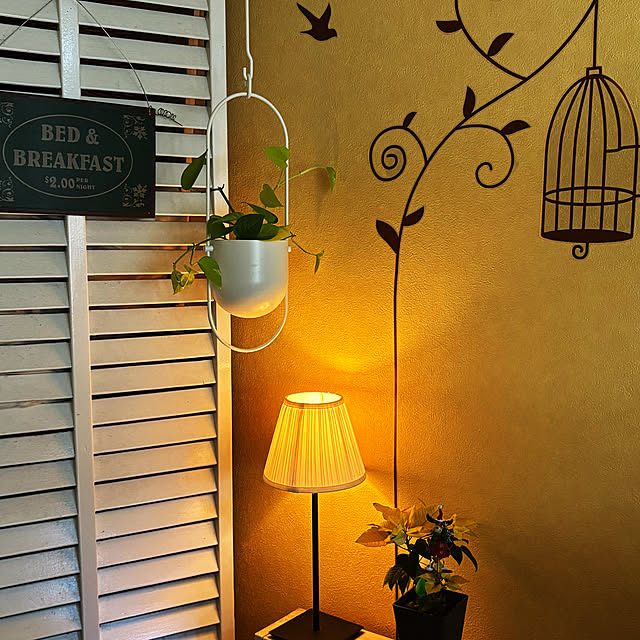 masayoさんの実例写真