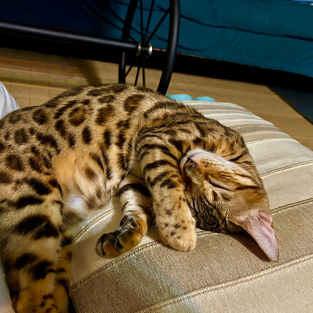 tututu0204さんの部屋