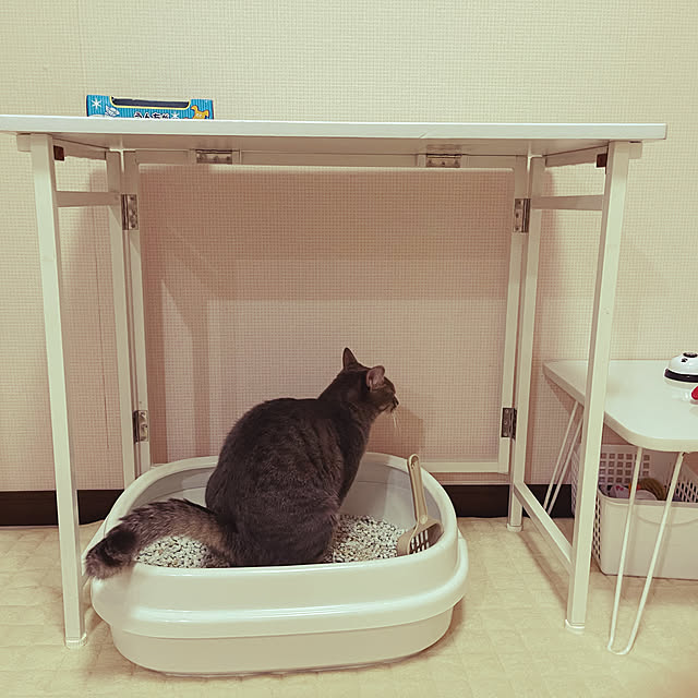 urudoraさんの実例写真
