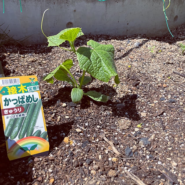 seiさんの部屋