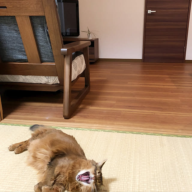 yuさんの実例写真