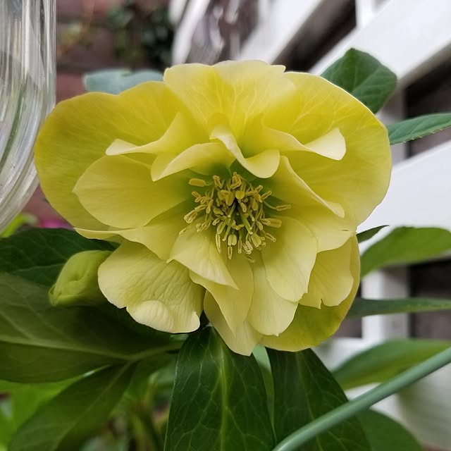 midoriさんの実例写真
