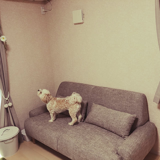 mameyaさんの実例写真