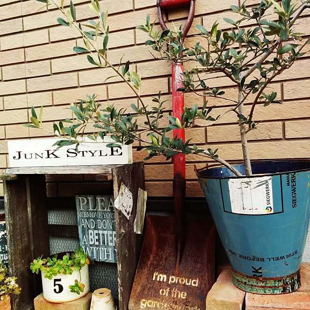 Hutchさんの実例写真