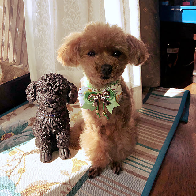 333さんの実例写真
