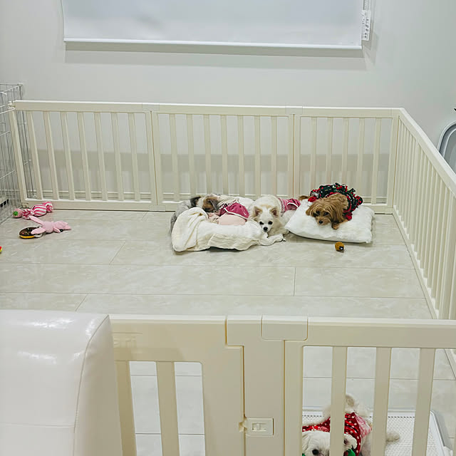 kakikuさんの実例写真