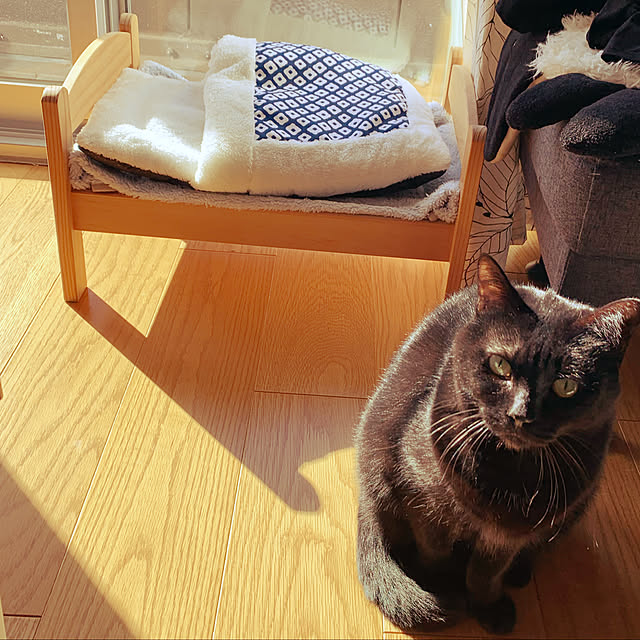 momoさんの実例写真
