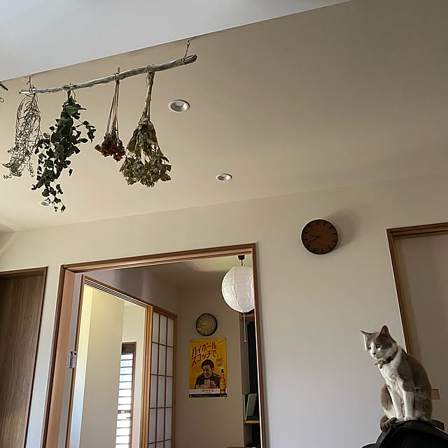taakoさんの実例写真