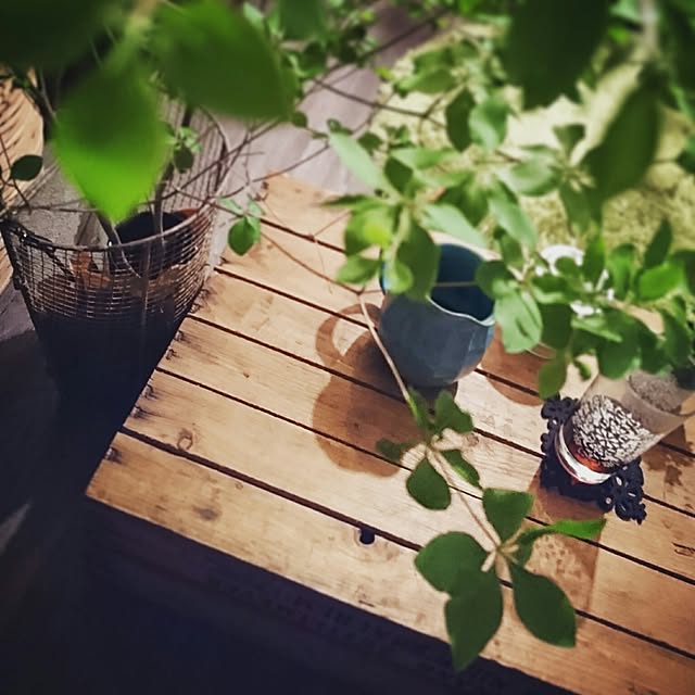 Kazukiさんの実例写真
