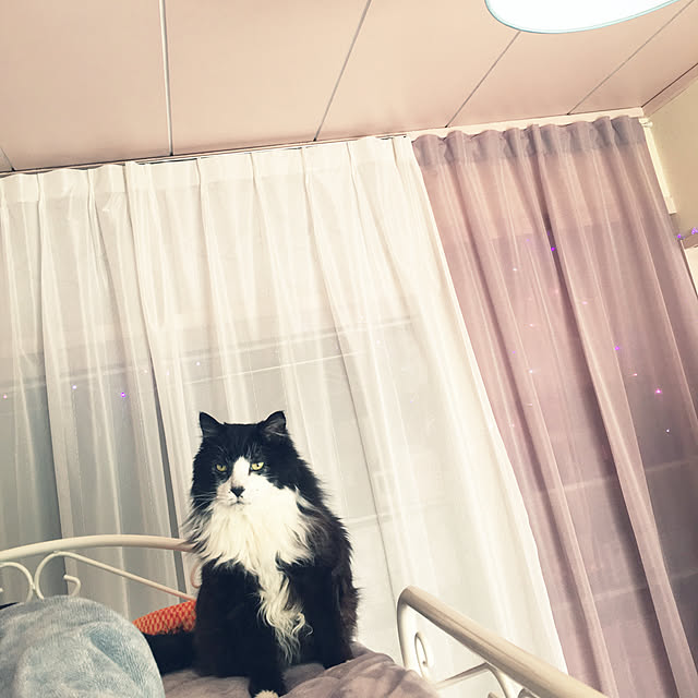 kanaさんの実例写真