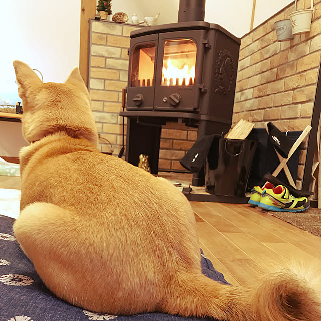 okadajapanさんの実例写真