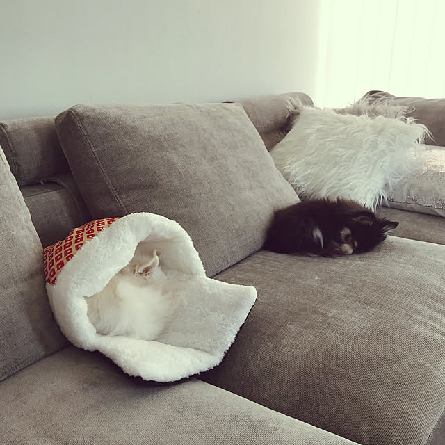 nackeyさんの実例写真
