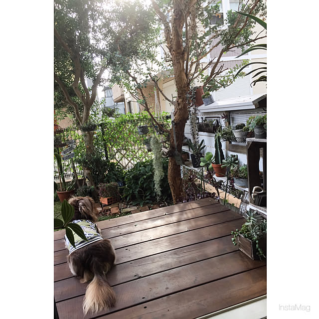 yupponさんの実例写真