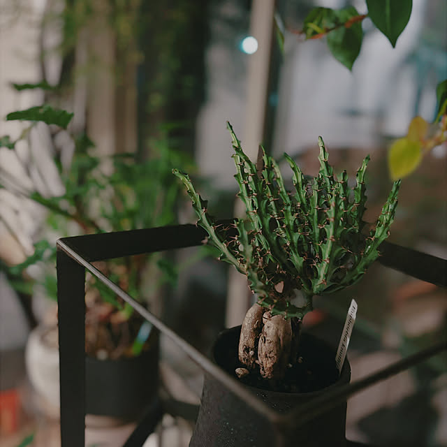 tkwbnさんの実例写真