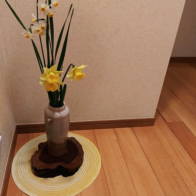 misakumaさんの実例写真