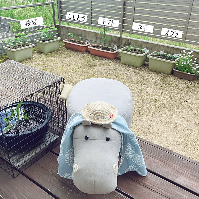 mangoさんの実例写真