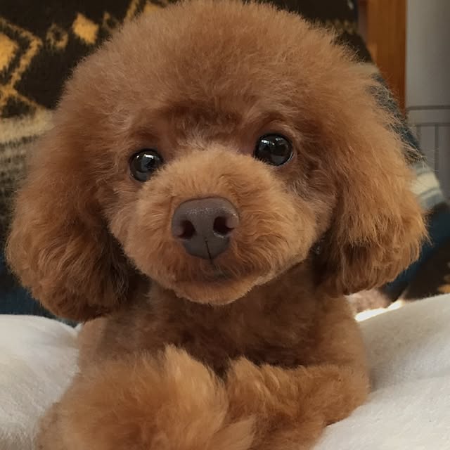 58さんの実例写真