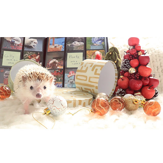 Chikakoさんの実例写真