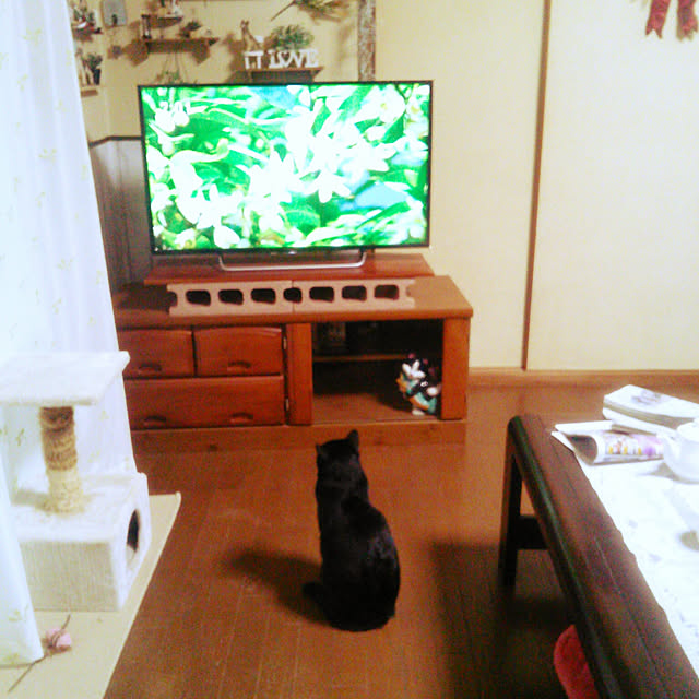Tomopさんの実例写真