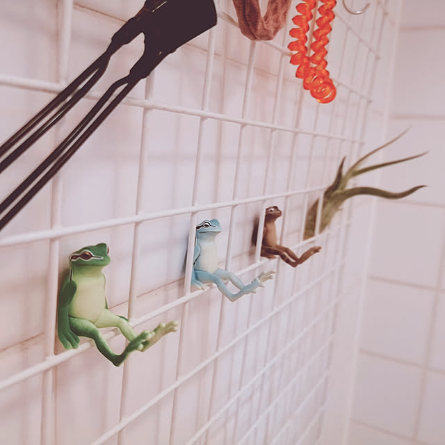 Doristoryさんの実例写真
