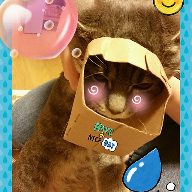 oyumiさんの実例写真